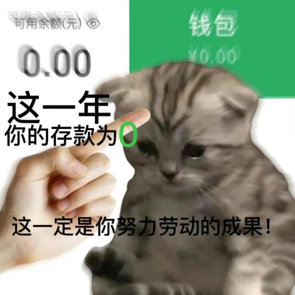 沙雕动物 年终总结 表情包