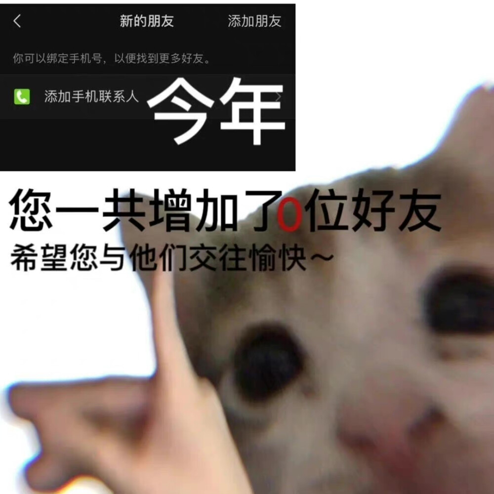 沙雕动物 年终总结 表情包