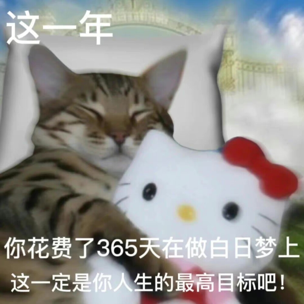 沙雕动物 年终总结 表情包