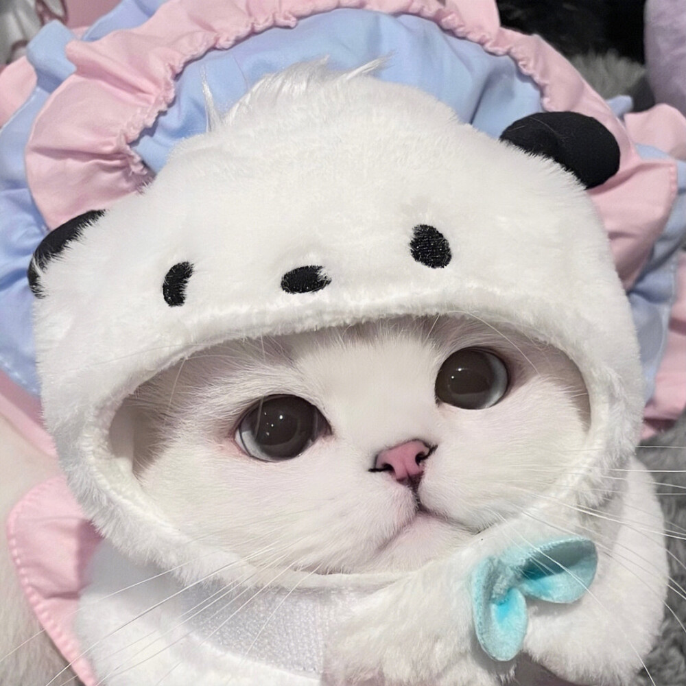 情侣头像