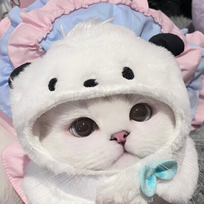 情侣头像