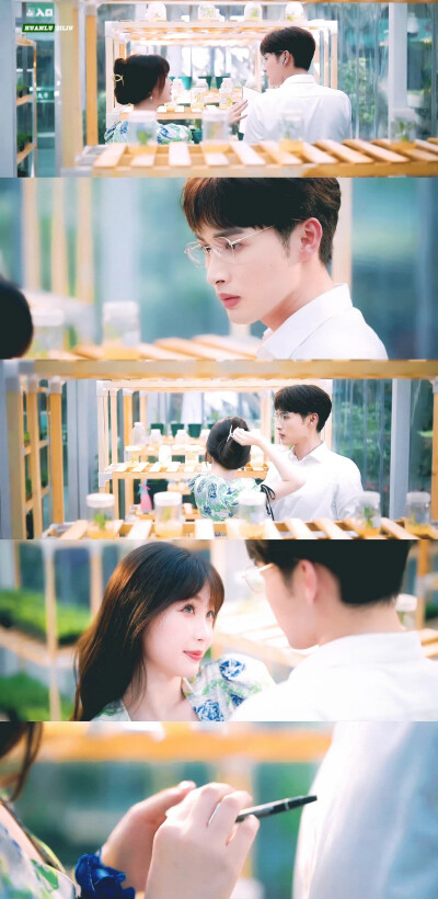 两个人的小森林