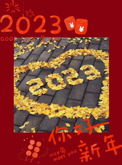 新的一年开始了（2023）