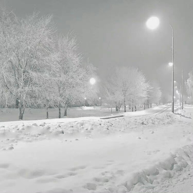 、你来时冬至） La neige tombe au d é but du printemps 「あなたは続章です