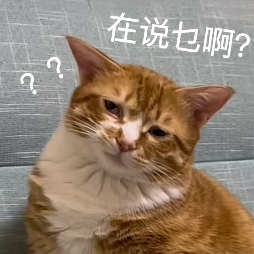 沙雕猫咪表情包