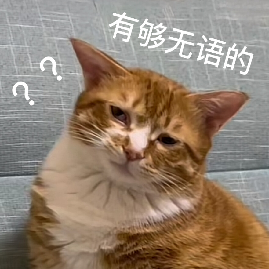 沙雕猫咪表情包