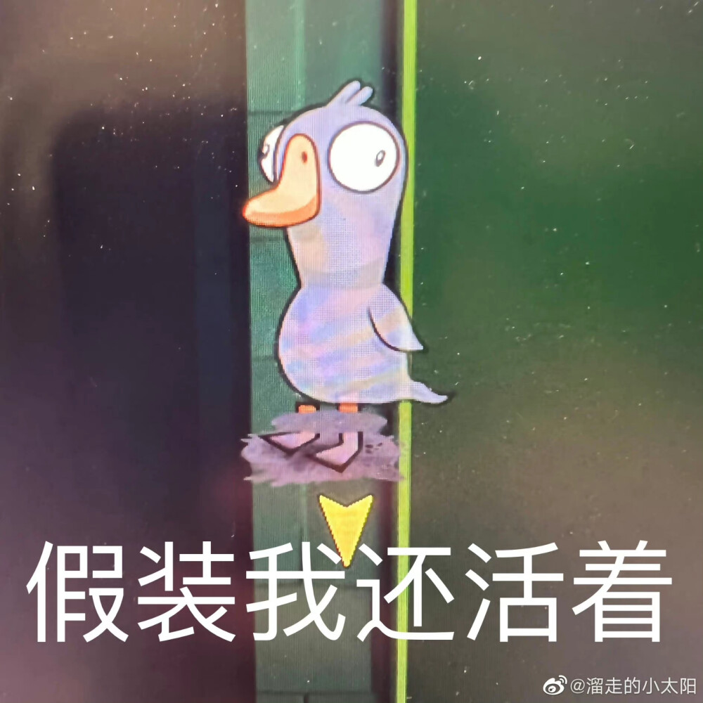 鸭鹅杀一些表情包，微博找的图，侵权即删