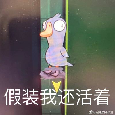 鸭鹅杀一些表情包，微博找的图，侵权即删
