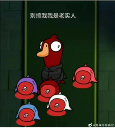 鸭鹅杀一些表情包，微博找的图，侵权即删