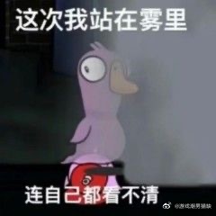 鸭鹅杀一些表情包，微博找的图，侵权即删