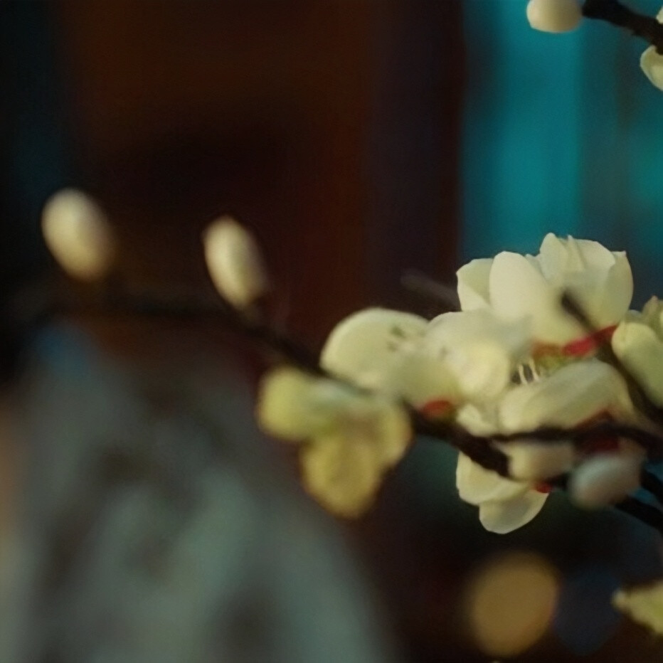 可二改朱丽岚
寒枝折不断/cr.不周行舟