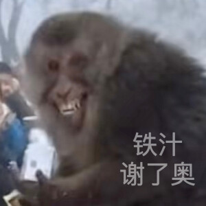 沙雕猴子表情包 - 高清图片,堆糖,美图壁纸兴趣社区