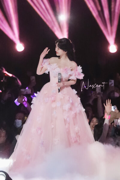 杨紫跨年晚会舞台照片