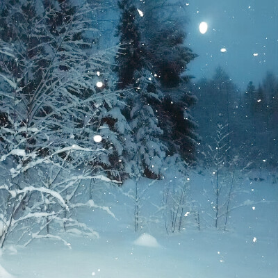 初雪中，我爱上了你 ❆ 柳智敏