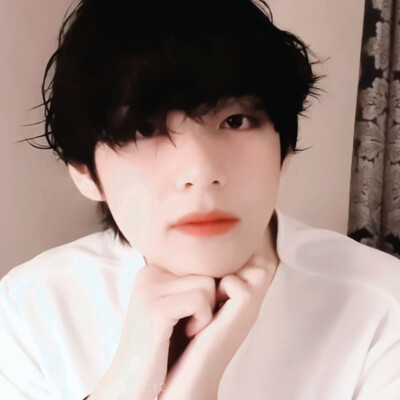 原图cr失语小狗