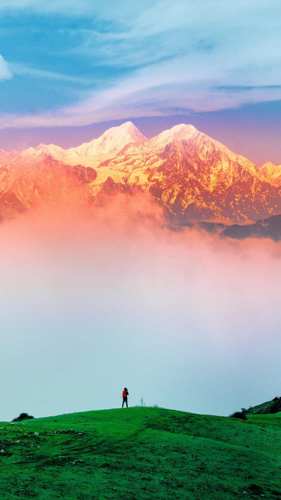 堆糖,美图壁纸兴趣社区