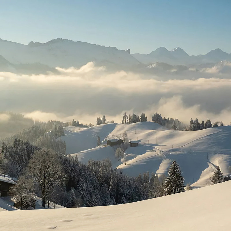 01.05
WeChat｜冬日背景图