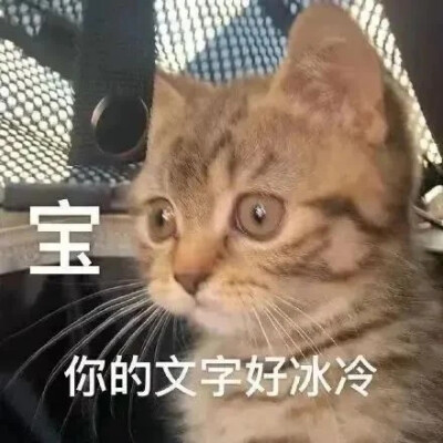 表情包