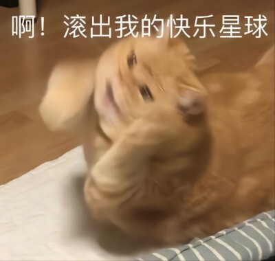 萌表情