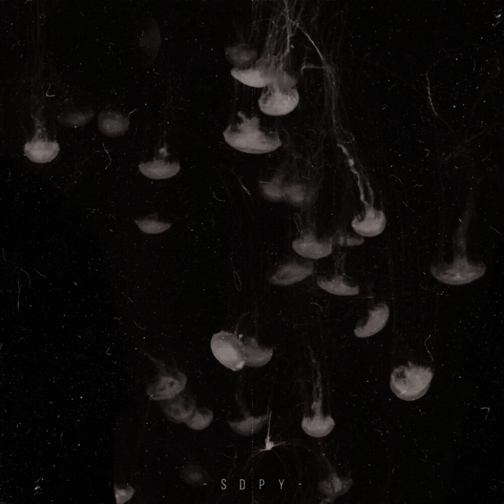 And tonight I will be by your side.
#郑号锡
江尢