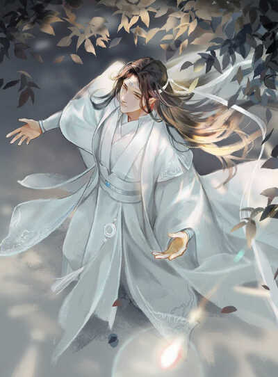 魔道祖师
蓝忘机魏无羡