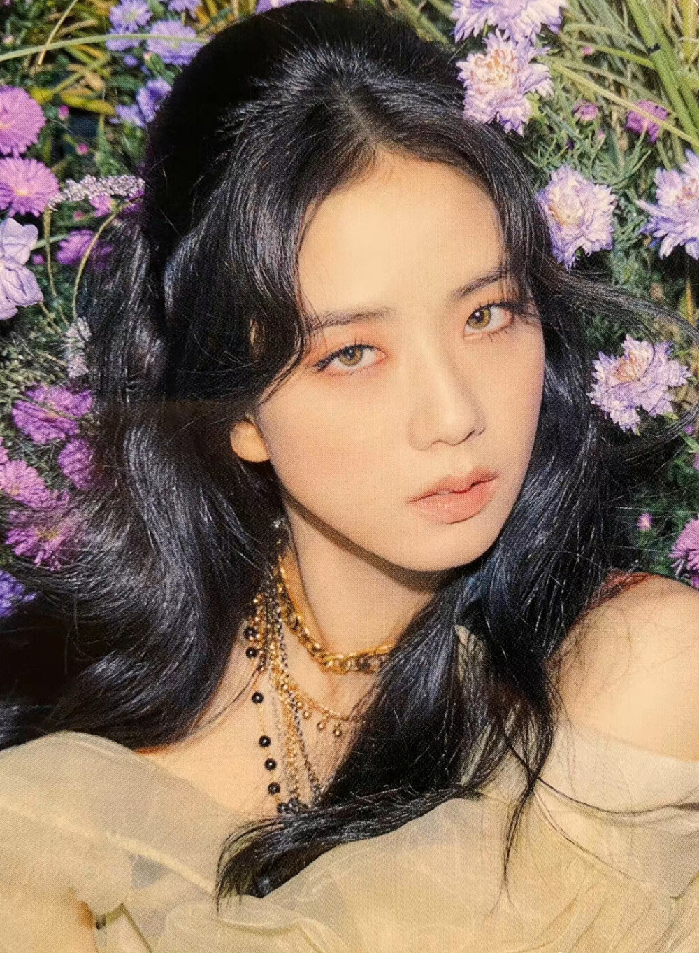 blackpink jisoo金智秀花海系列小卡扫图