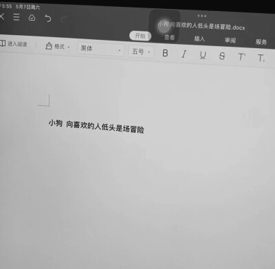 背景图 【小狗文学】