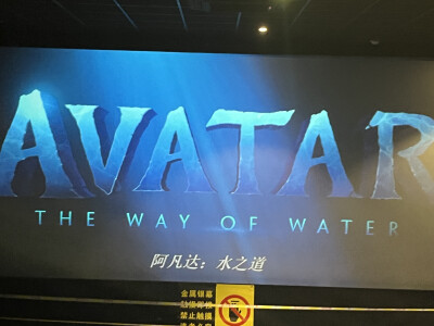#1.6 《阿凡达2》院线3D