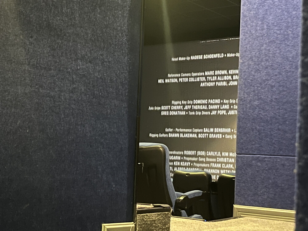 #1.6 《阿凡达2》院线3D