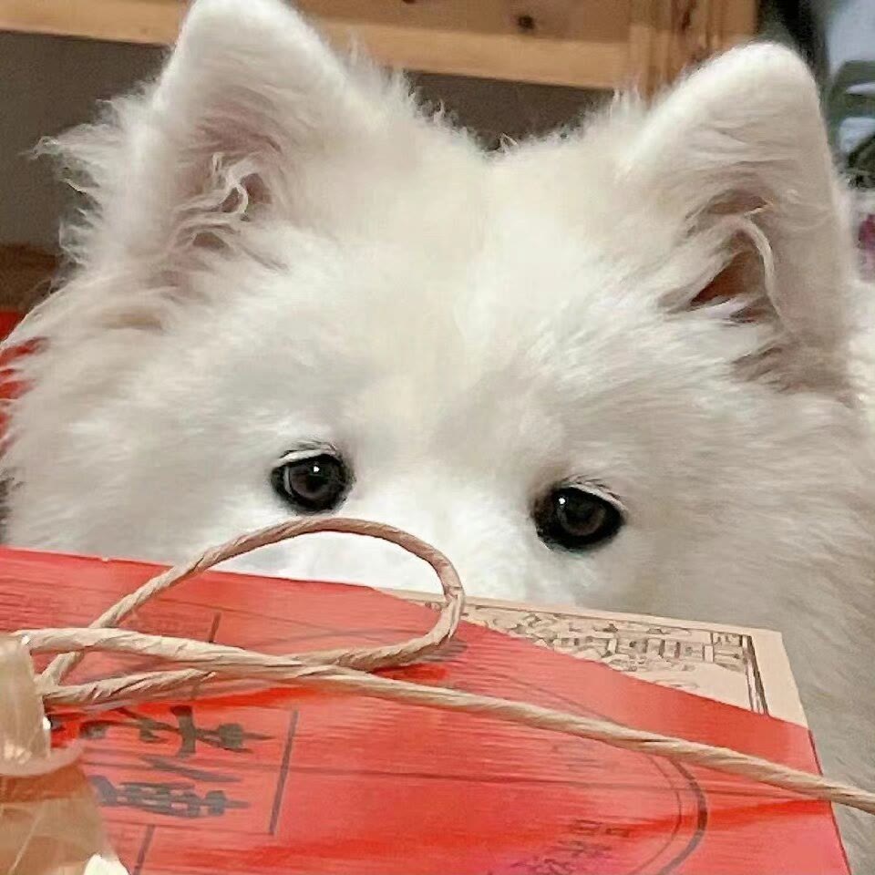 图源ks池魚循环
2022.8.5