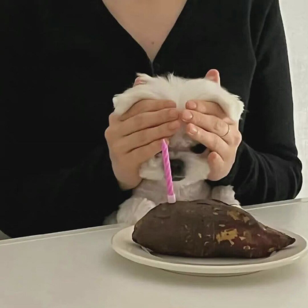 图源ks池魚循环
2022.8.5