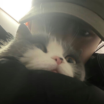 或许我们就是两条永不相交的平行线 注定我只能望着你而心痛