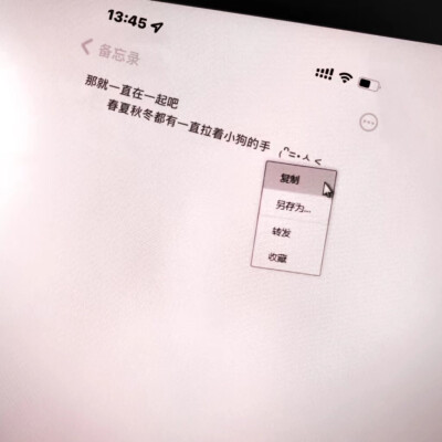 我们于凌冬炼狱中相爱 直视美杜莎之瞳 这是终局之战 属于我们的永恒