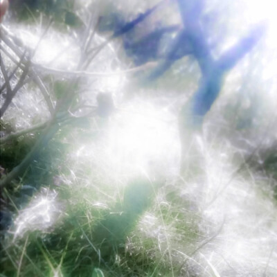 //:昨 日 晴 空㐅叶舒华♡
©斯莱特林不知名巫师