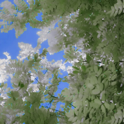 //:昨 日 晴 空㐅叶舒华♡
©斯莱特林不知名巫师