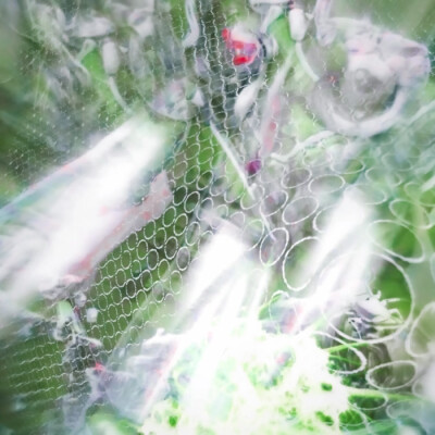 //:昨 日 晴 空㐅叶舒华♡
©斯莱特林不知名巫师