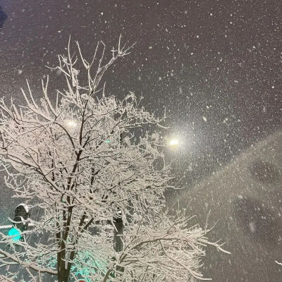 朋友圈背景图