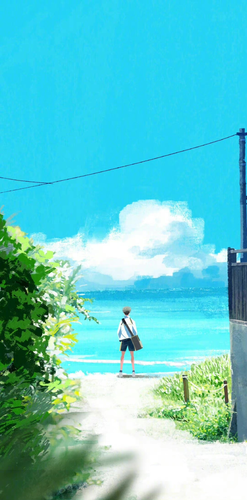 「青春bot」太太#排球少年# 背影系列壁纸新绘,太喜欢这治愈系画风了