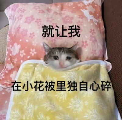 表情包