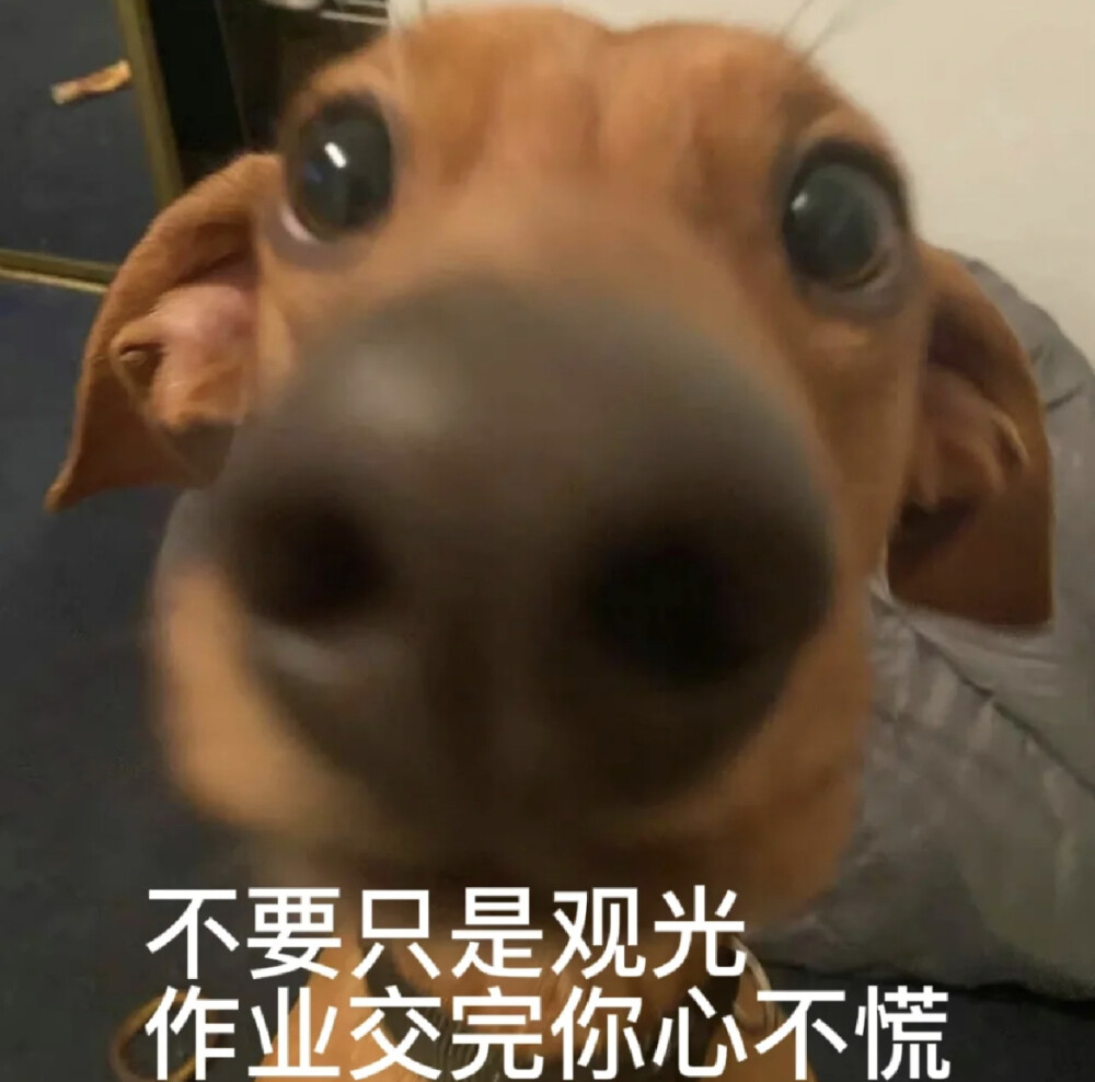 网课