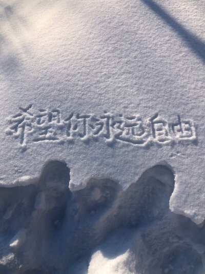 雪地里的浪漫
