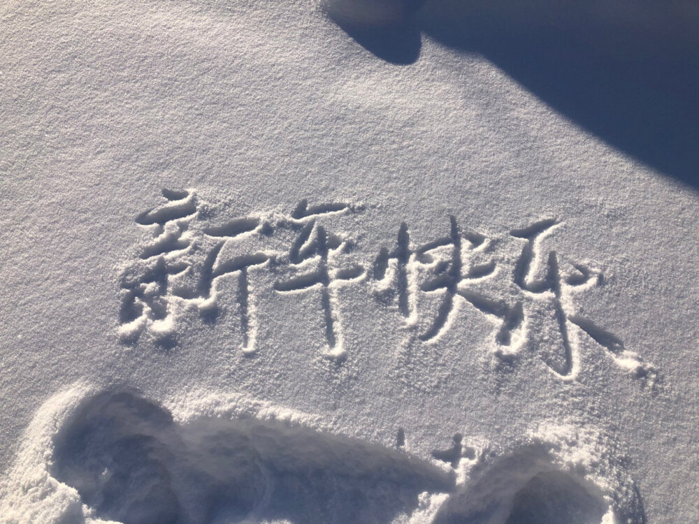 雪地里的浪漫
