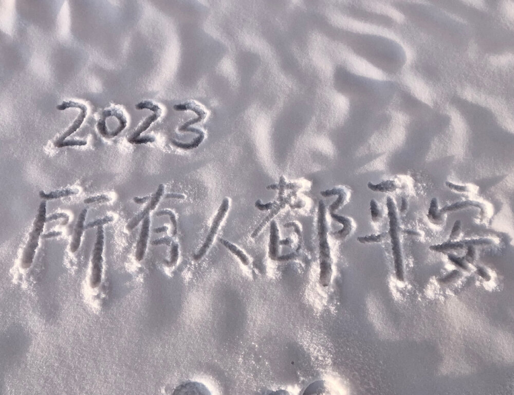 雪地里的浪漫
