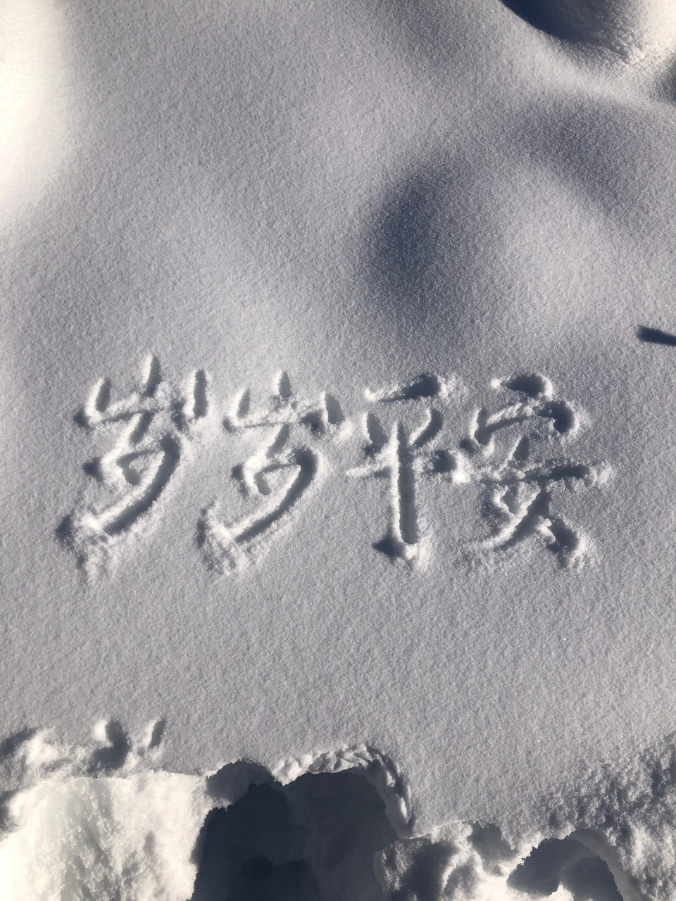 雪地里的浪漫
