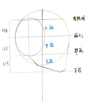 头部画法【转载】