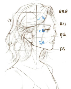 头部画法【转载】