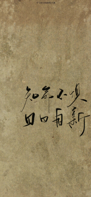 文字壁纸