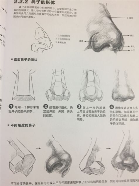 鼻子画法