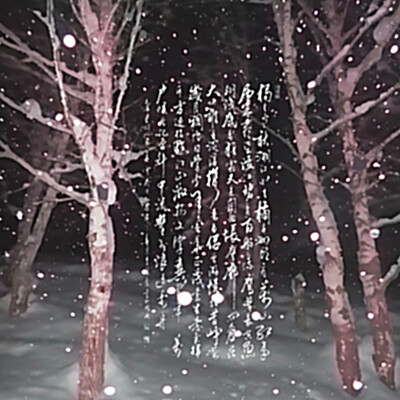 ▷夏侯轻衣“ 하후 가벼운 옷”可叹这惊鸿一瞥误入眉眼欢喜多年*