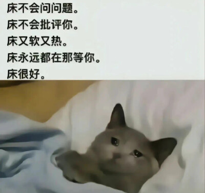 猫狗表情包